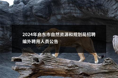 2024年启东市自然资源和规划局招聘编外聘用人员公告                进入阅读模式 图片