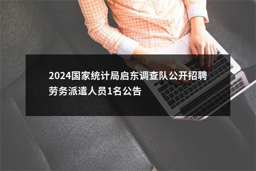 2024国家统计局启东调查队公开招聘劳务派遣人员1名公告                进入阅读模式 图片