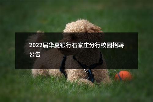2022届华夏银行石家庄分行校园招聘公告                进入阅读模式 图片