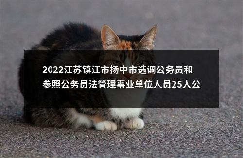 2022江苏镇江市扬中市选调公务员和参照公务员法管理事业单位人员25人公告                进入阅读模式 图片